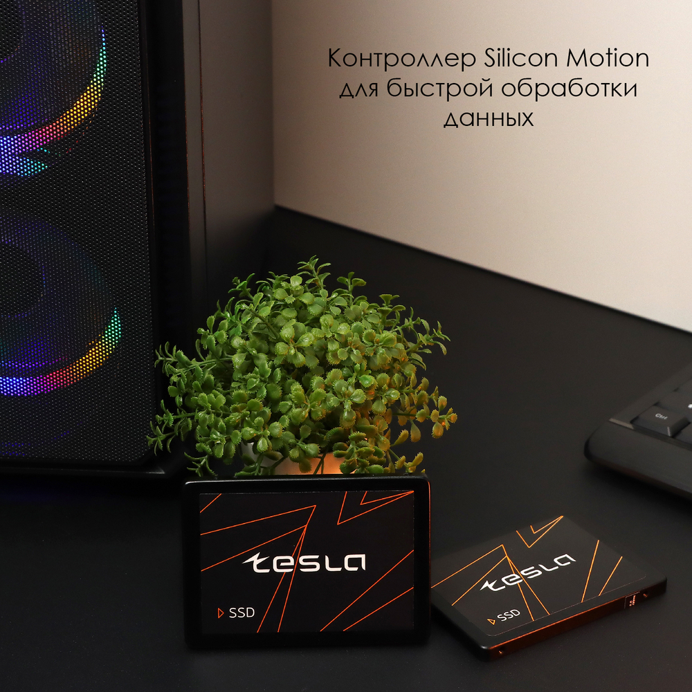 SSD ТЕСЛА (TESLA) 256Гб, 2.5", SATA3, Bulk, TLC, Чтение:550мб/с, Запись:450мб/с (SSDTSLA-256GS3)
