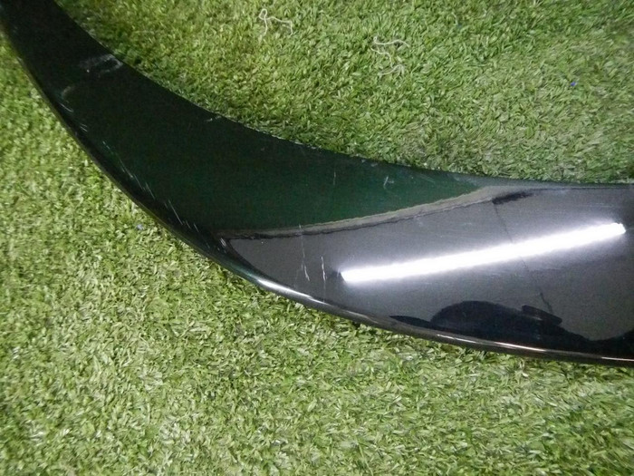 DSCN6806.jpg