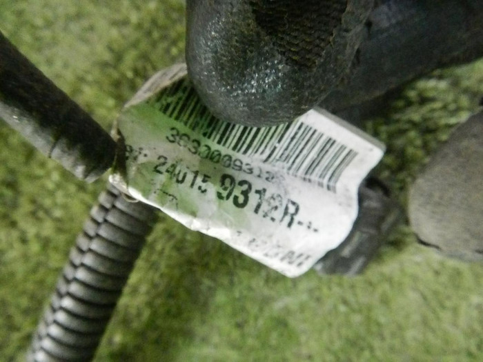 DSCN4481.JPG