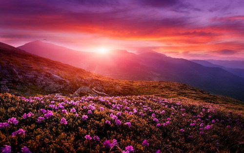 Природа №39 Фотообои и Фрески ручной работы