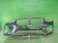 DSCN6230.JPG