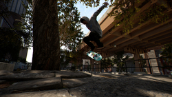 Session: Skate Sim Supporter Edition (для ПК, цифровой код доступа)