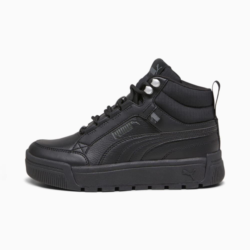 Ботинки мужские PUMA Tarrenz SB III Puretex