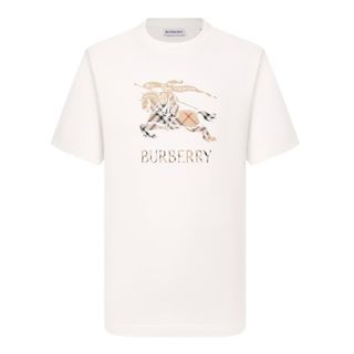Мужские футболки Burberry