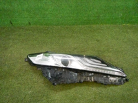 DSCN2469.jpg