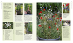 New Wild Garden: Natural-Style Planting and Practicalities