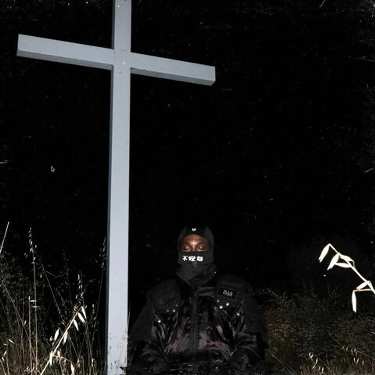 Виниловая пластинка. Jpegmafia - I Lay Down My Life For You