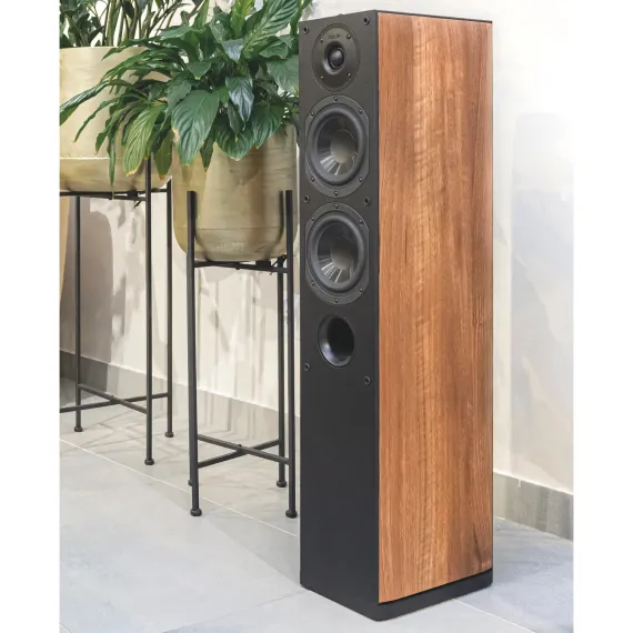Indiana Line Nota 550 XL Walnut
