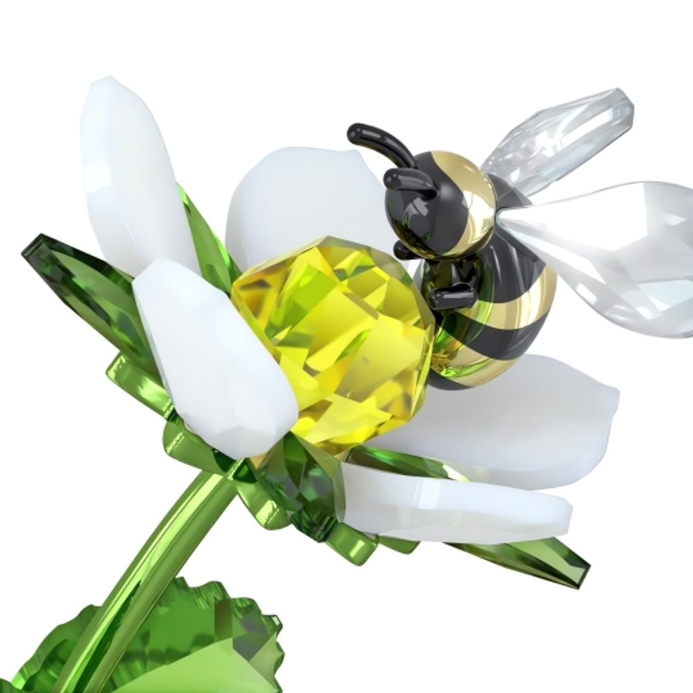 IDYLLIA:FROG BEE AND STRAWBERRY