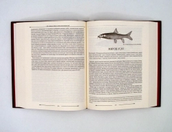Набор "Рыбалка" подарочный в футляре: книга "Жизнь и ловля пресноводных рыб" с бокалами для коньяка