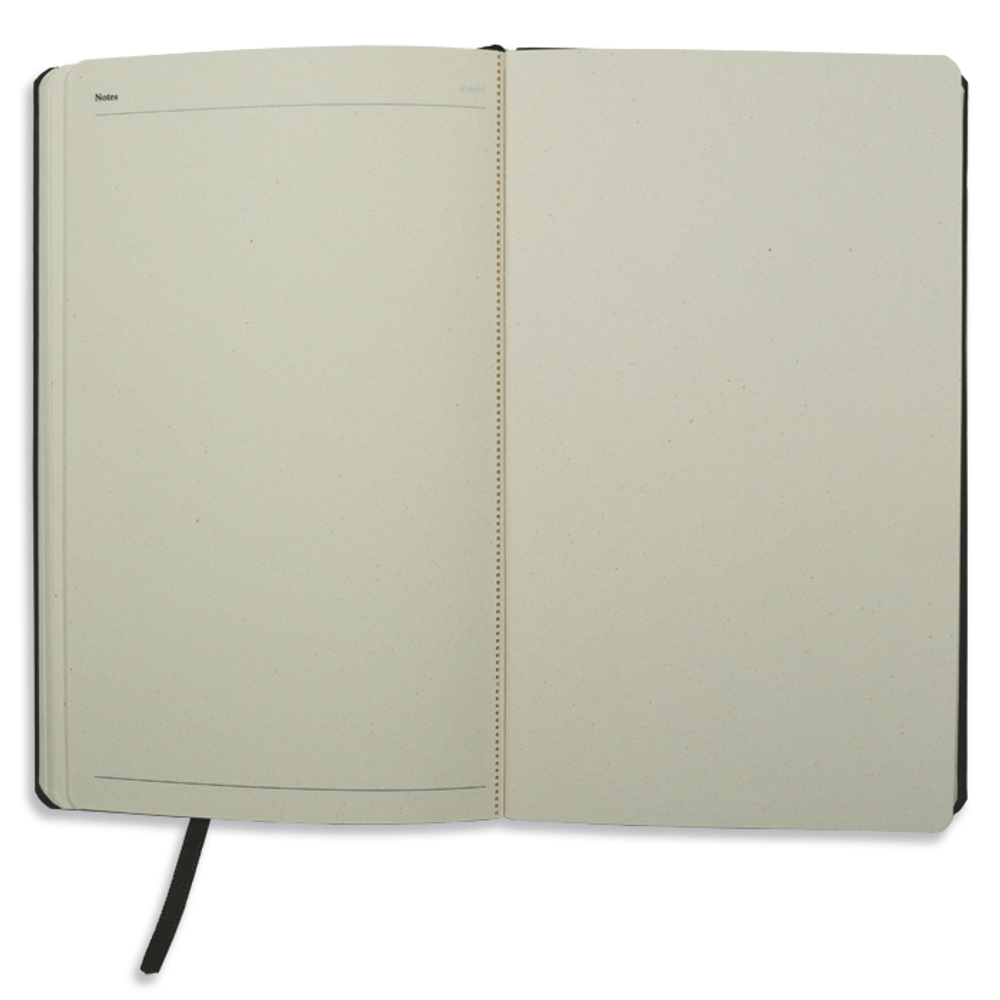 Блокнот APPLE SKIN II