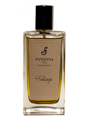 Fueguia 1833 Paisaje