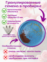 Семена Бархатцы низкорослые желтые махровые Марвел + торфяные таблетки Jiffy в подарок, 5шт