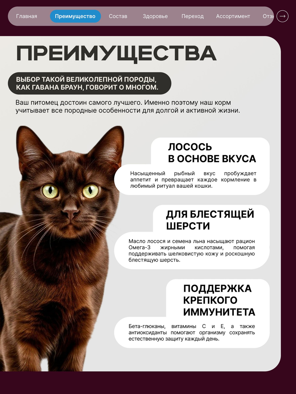 Корм сухой для взрослых кошек породы Гавана Браун, с лососем, 2 кг, QUATTRO