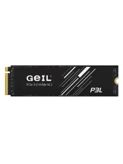 256 ГБ M.2 SSD накопитель P3L P3LFD16I256G