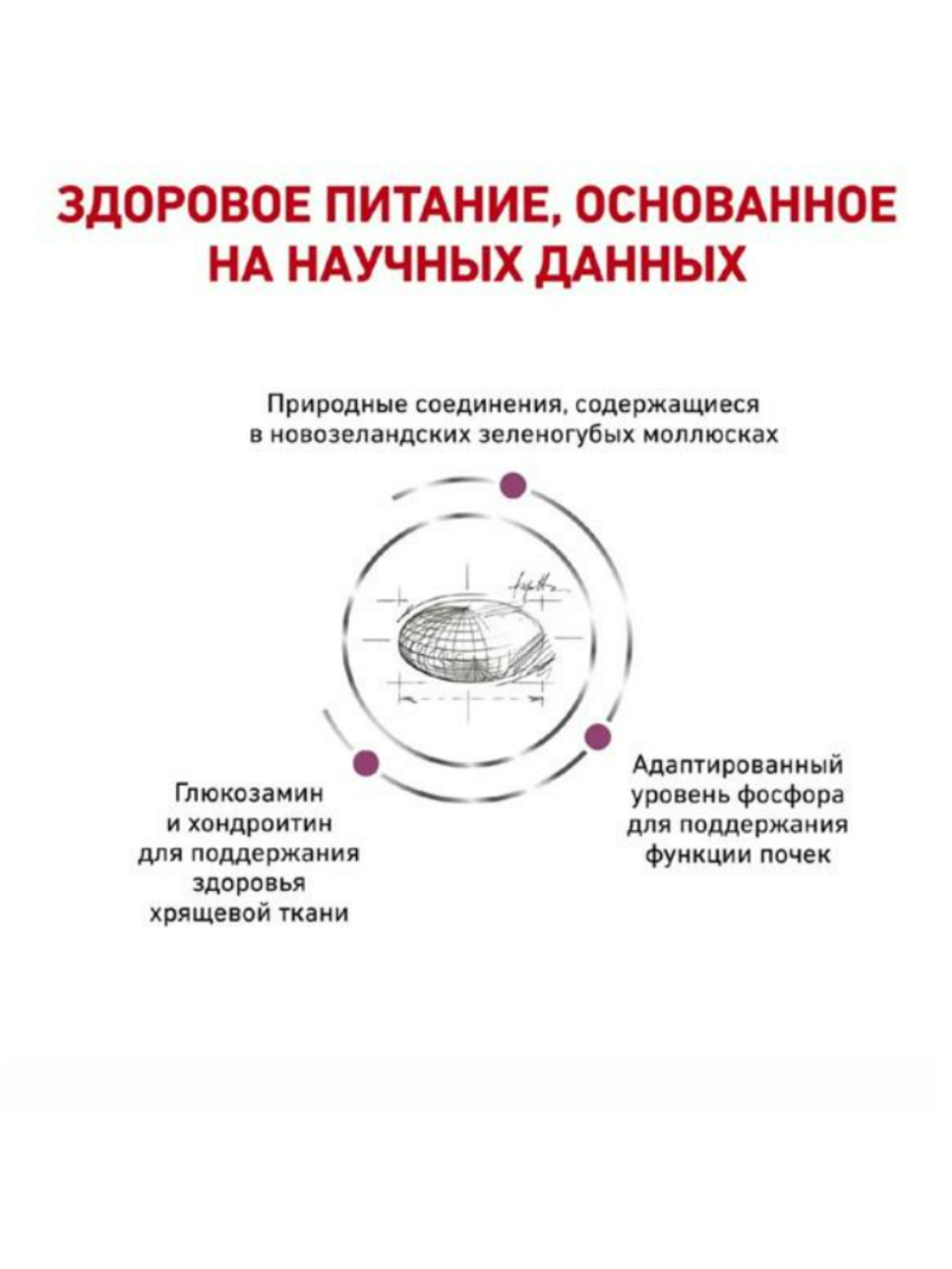 Royal Canin Mobility (Роял Канин Мобилити) сухой корм для кошек 2 кг