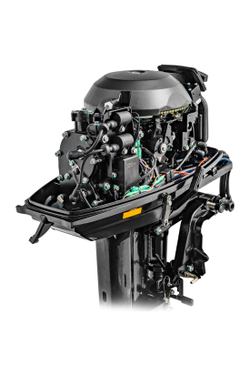 Лодочный мотор Reef Rider RR30FFES
