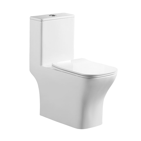 Унитаз-моноблок безободковый с сиденьем микролифт BelBagno NEON BB8617CPR-MN/SC