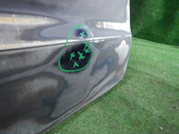 DSCN1737.JPG