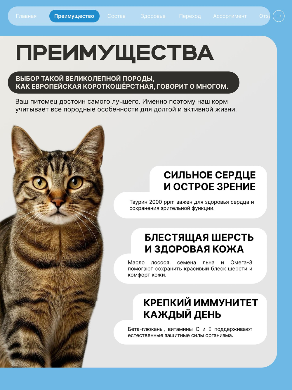Корм сухой для взрослых кошек породы Европейская короткошёрстная, с лососем, 400 гр, QUATTRO