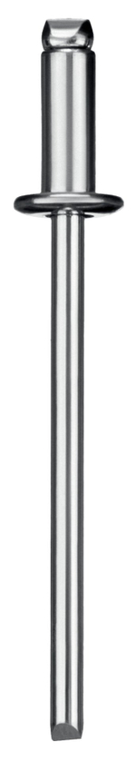 ЗУБР 3.2 x 6 мм, 50 шт, стальные заклепки, Профессионал (313126-32-06)