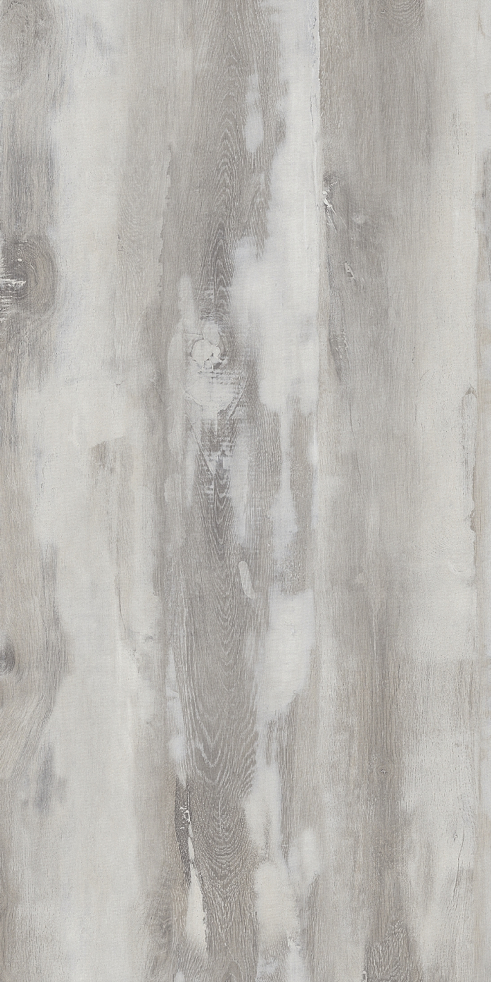 Polished Wood