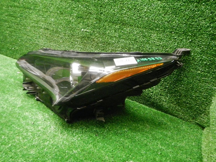 DSCN8672.JPG