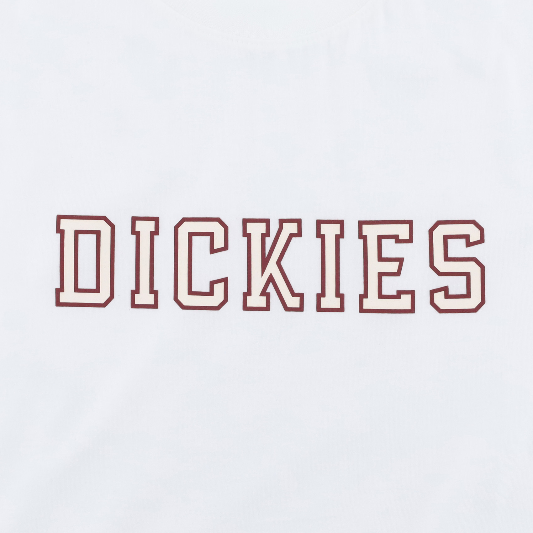 Футболка Dickies Melvern Graphic T-Shirt (white) артикул: - купить в магазине Дайс