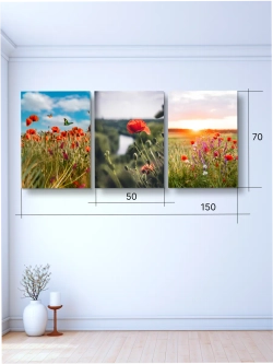 Картина Алые сияния модульная 50x70см 3шт.