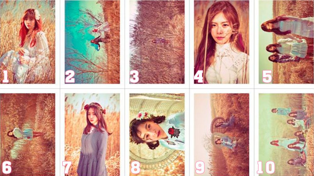 Фотокарточка - Dreamcatcher - №6 Фотокарточка - Dreamcatcher - №6