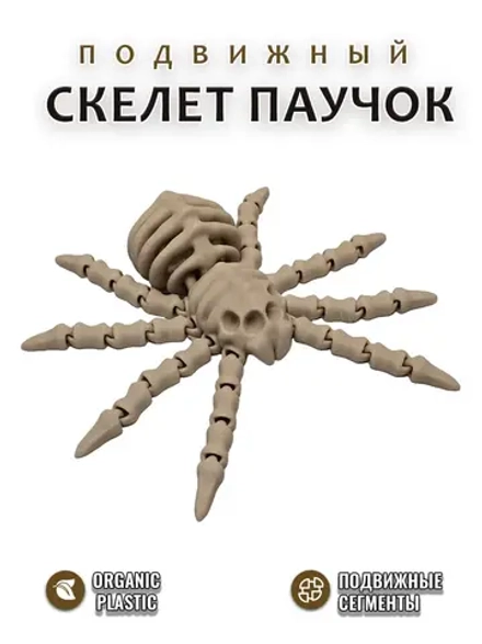 Скелет Паучок