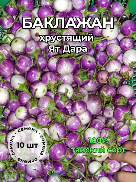 Баклажан тайский хрустящий Ят Дара — семена, 10 шт.