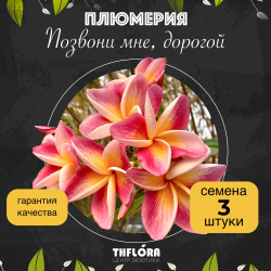 Плюмерия "Позвони мне, дорогой" семена 3 штуки