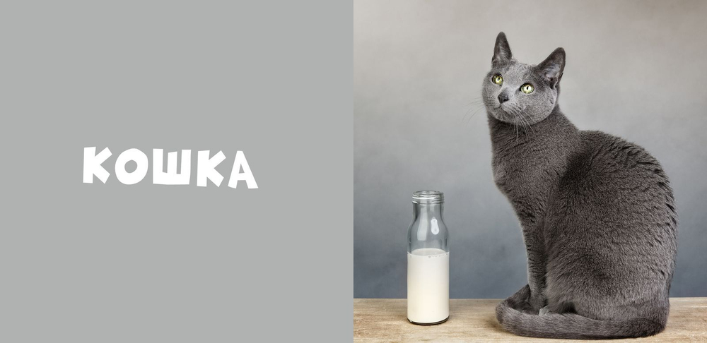 Мои первые слова. Фото-книга. Животные МИНИ