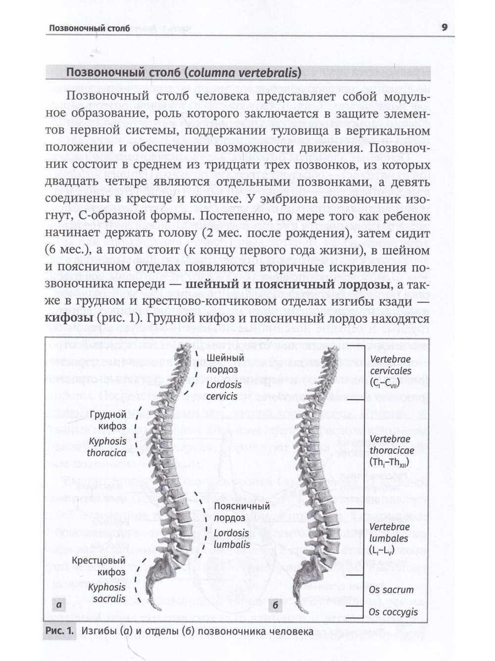 Остеология