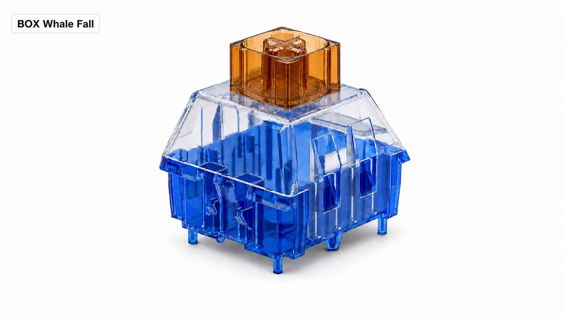 Kailh Switch Storage Box — BOX Whale Fall