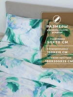 Постельное белье семейное на резинке 180х200х25 50x70 Рио