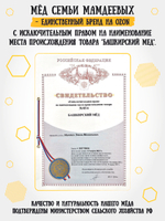 Подарочный набор мёда с ложкой (с кедровым орехом, 300 г; донниковый, 300 г)