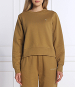 Худи Trussardi - коричневый(56F00216 1T006039)