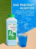 GraSS Средство для борьбы с водорослями CRYSPOOL algicide 1 л