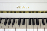 Weber Continental W114