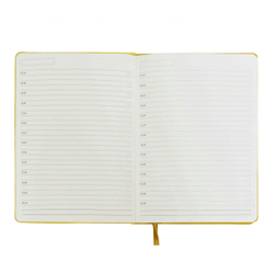 NIKA301d