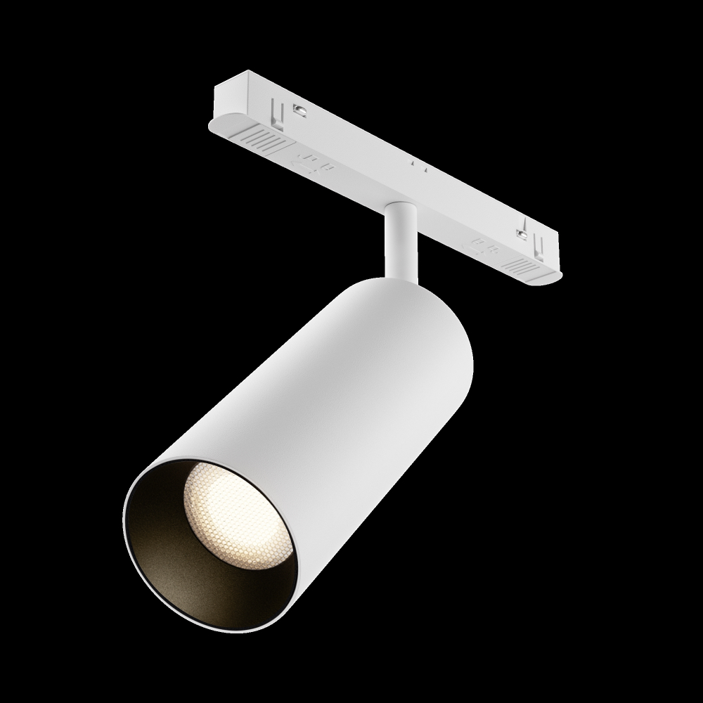 Магнитный трековый светильник Maytoni Focus LED TR032-4-20WTW-S-DD-W