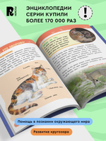 Кошки и котята (Энциклопедия для детского сада)