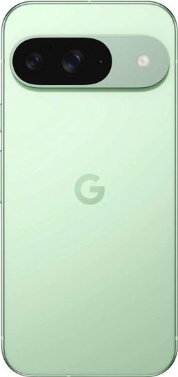 Смартфон Google Pixel 9 256 ГБ Зимний зеленый Wintergreen