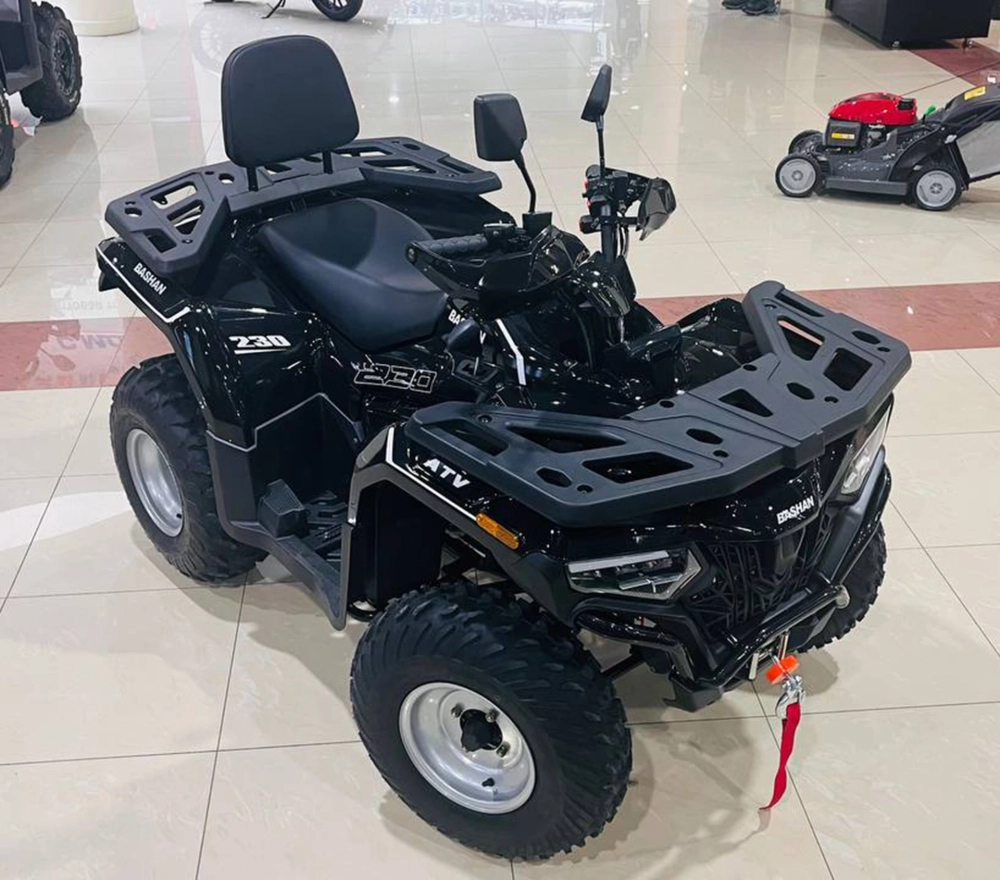 Квадроцикл Bashan BS200AU-19 черный