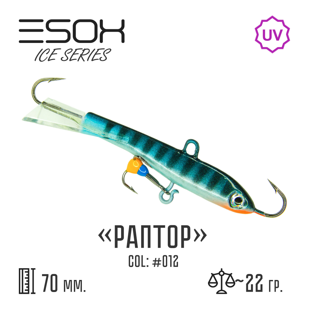 Raptor 70 C012