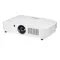 Roly RL-600U White