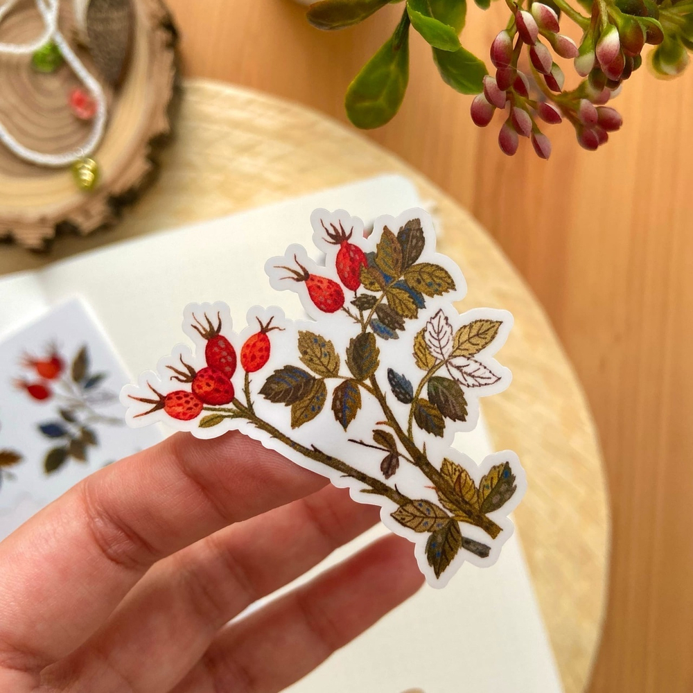 стикерпак «ботаника» 🌸🌿