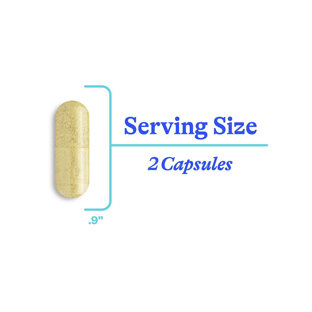 Seeking Health, HistaminX, 60 капсул